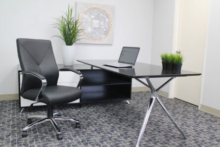 A modern office with a sleek black desk, a laptop, a LeatherPlus Executive Chair, and two potted plants, with a decorative silver wall art.