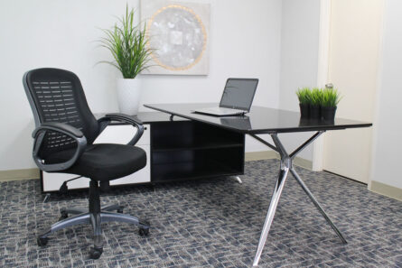 Modern office setup with a black desk, laptop, Ribbed High Back Mesh Chair, and decorative plants, against a neutral wall.