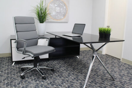 Modern office with a black desk, CaressoftPlus Executive Chair, laptop, and decorative plants.