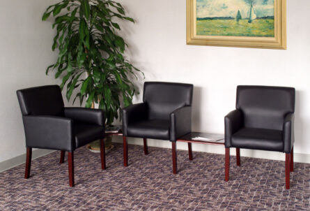 Three Reception Box Arm Chairs with Mahogany Finish arranged on a patterned carpet in a waiting room, next to a potted plant and beneath a landscape painting.